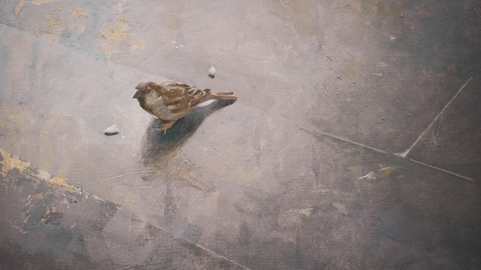 Inauguración de la exposición de Manuel Cano y Javier Machimbarrena en la sala Cajasur de Algeciras