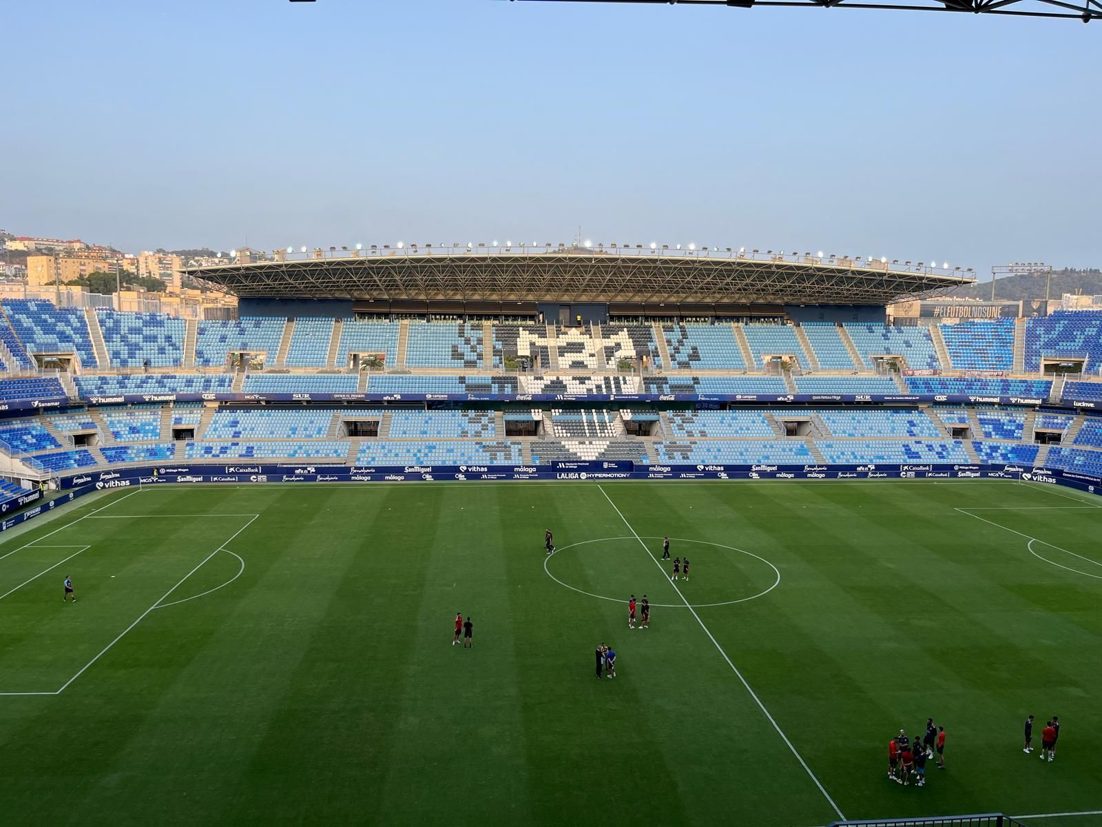 Vista de La Rosaleda.
