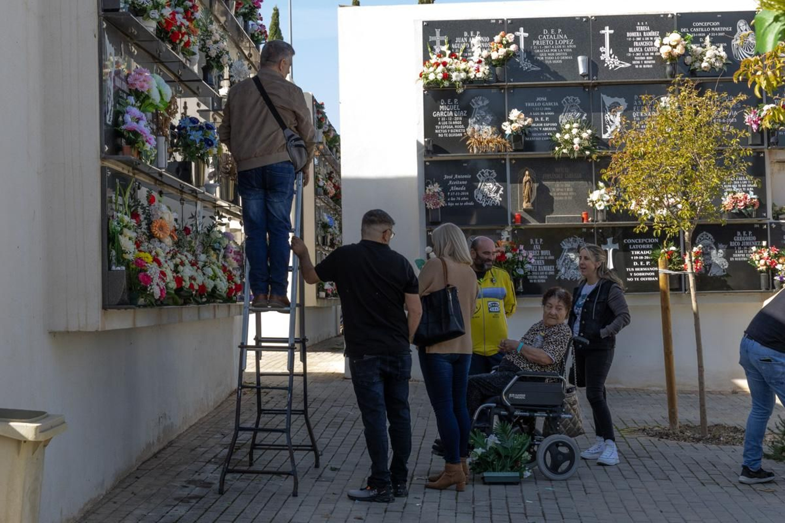 Día de Los Santos en el cementerio de San Fernando y San Eufrasio de Jaén, en imágenes