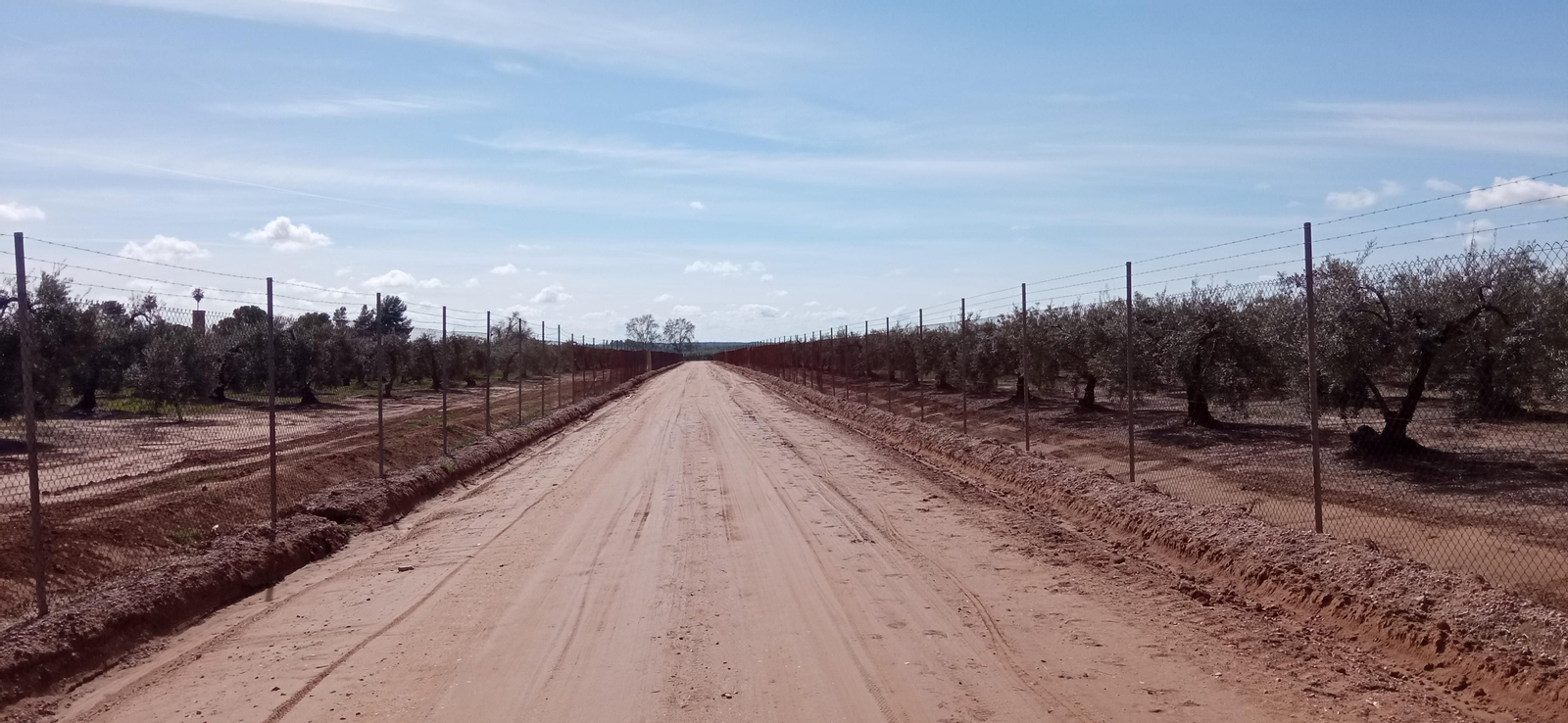 Las imágenes de la Ruta Azul en Bollullos de la Mitación