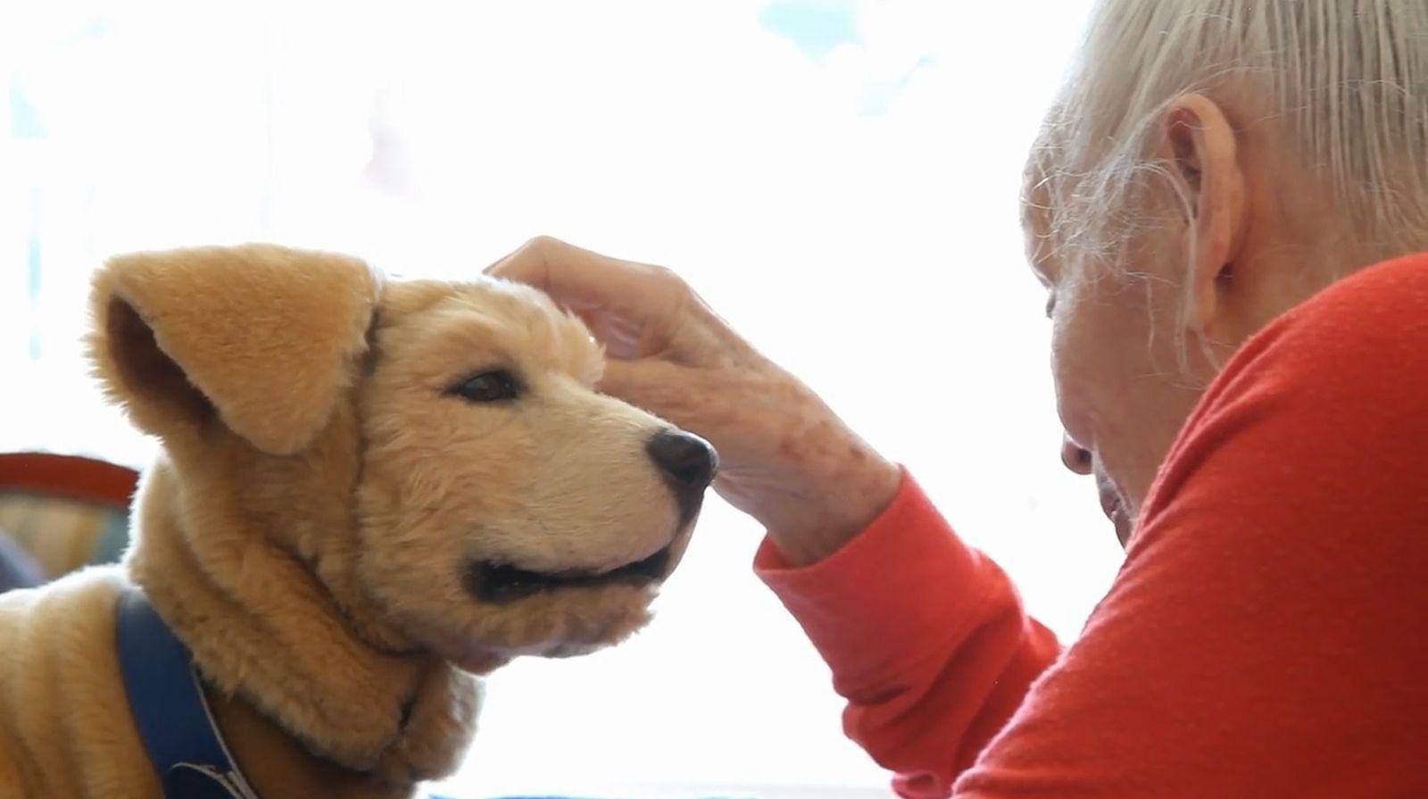 Tombot Puppy reacciona a las caricias, aunque sus movimientos son los propios de los animatrónicos.