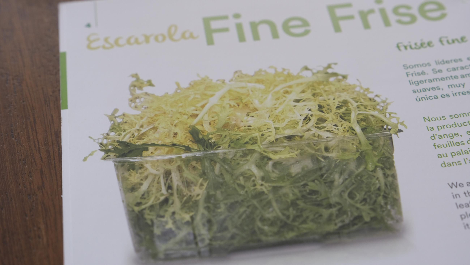 Desde Cuevas del Almanzora para el resto del mundo, las mejores escarolas con Cuadraspania, en imágenes