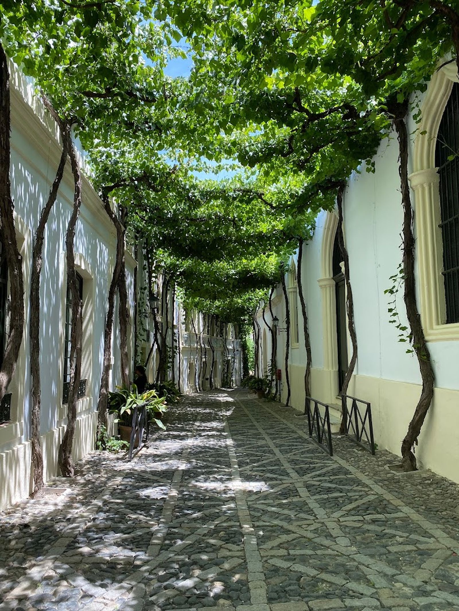 Calle Ciegos