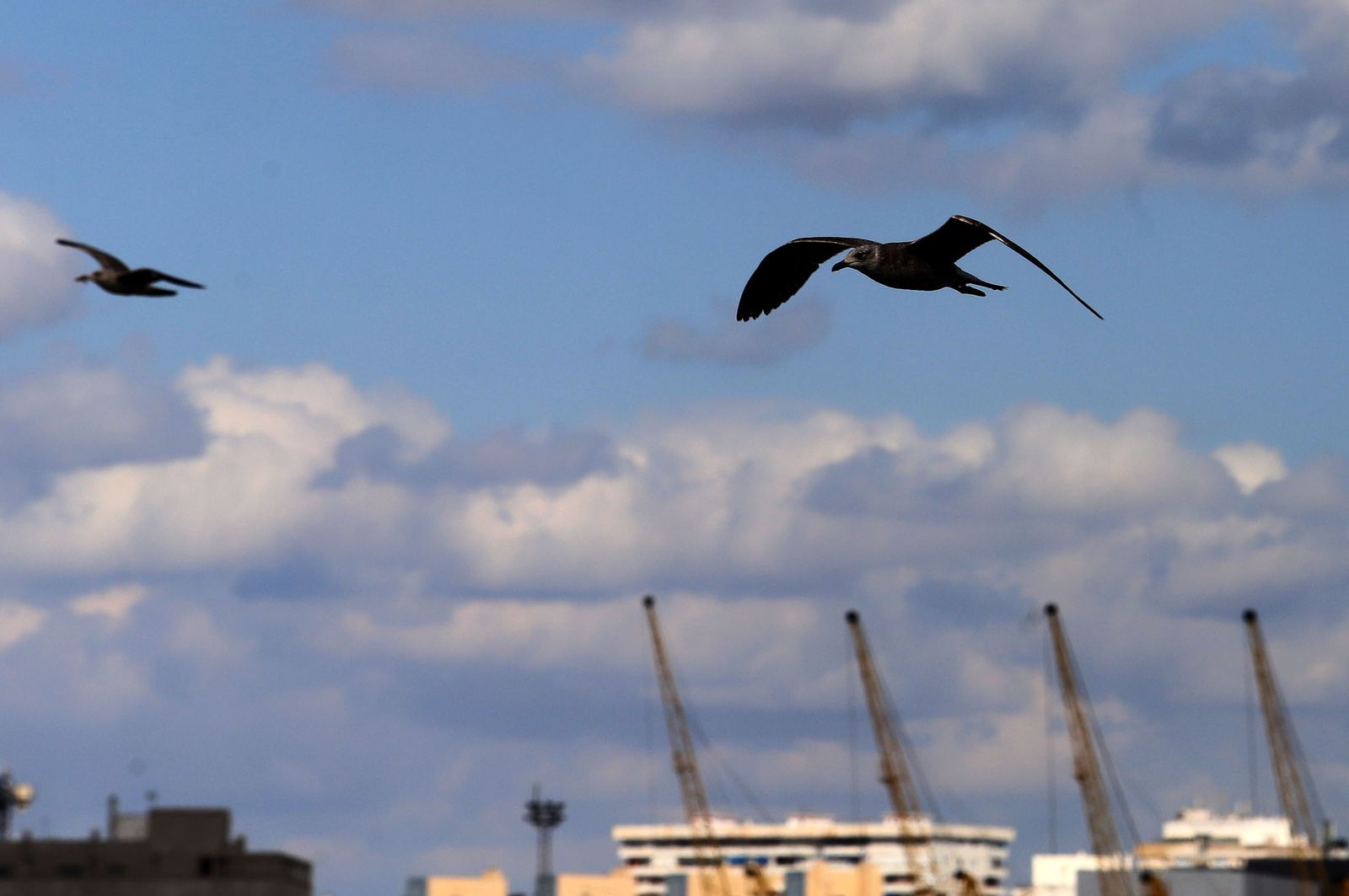 Las imágenes más destacadas del martes 19 de abril en Huelva