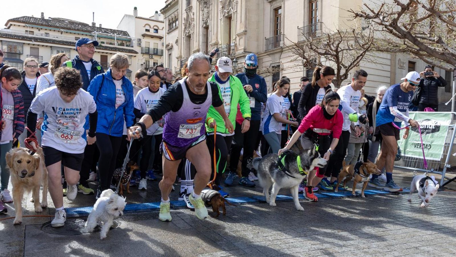La Carrera y Caminata de la Buena Muerte a beneficio de ALES, en imágenes (1)
