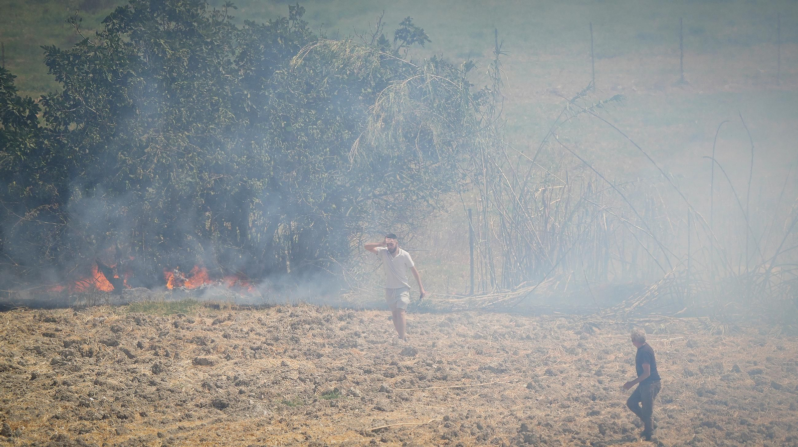 Muere un caballo después de que la manada fuese liberada