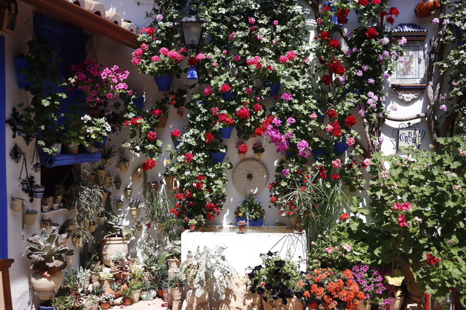 Ruta de los patios de San Lorenzo