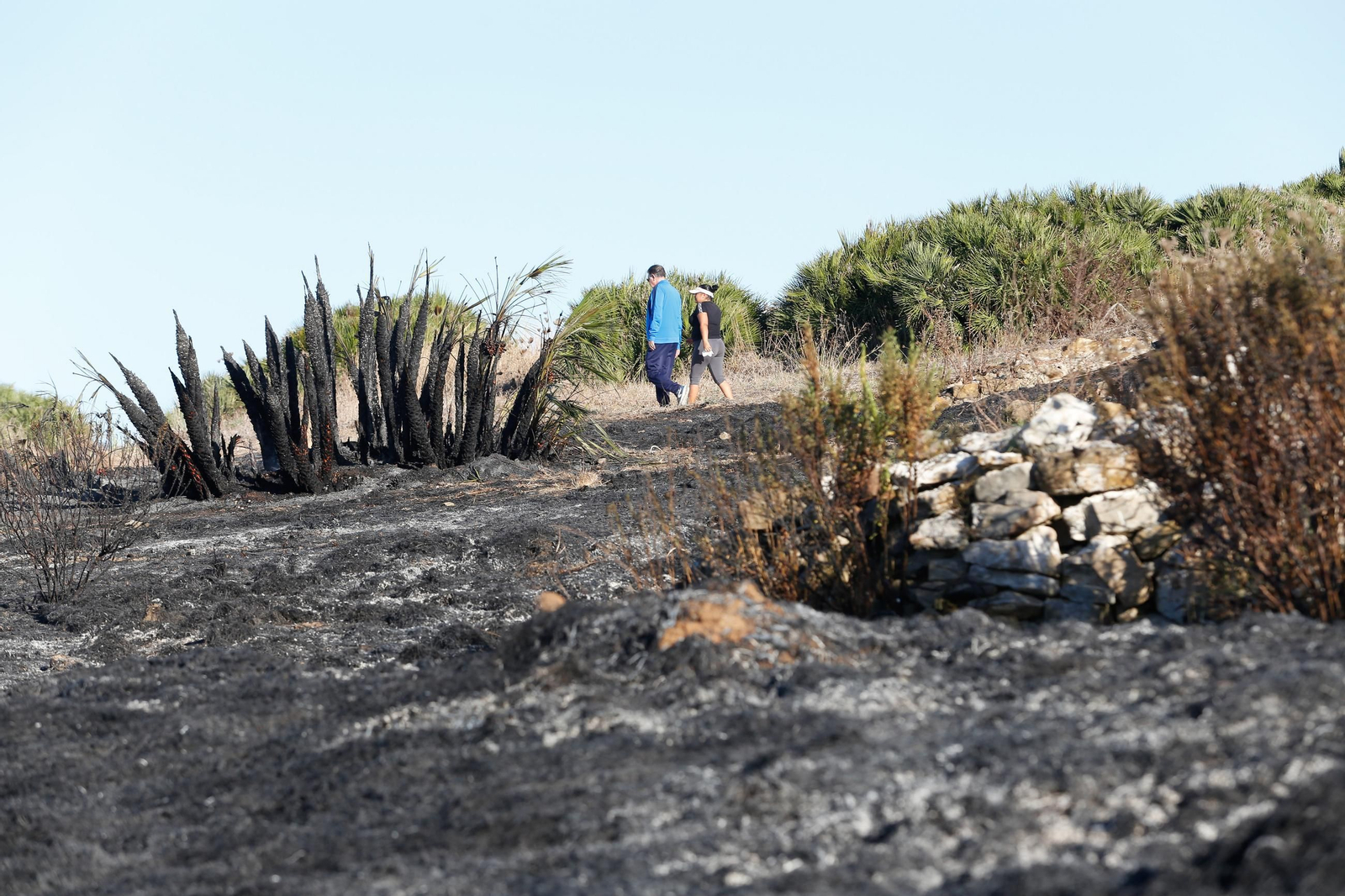 Daños en el Parque Centenario de Algeciras tras el incendio nocturno, en imágenes