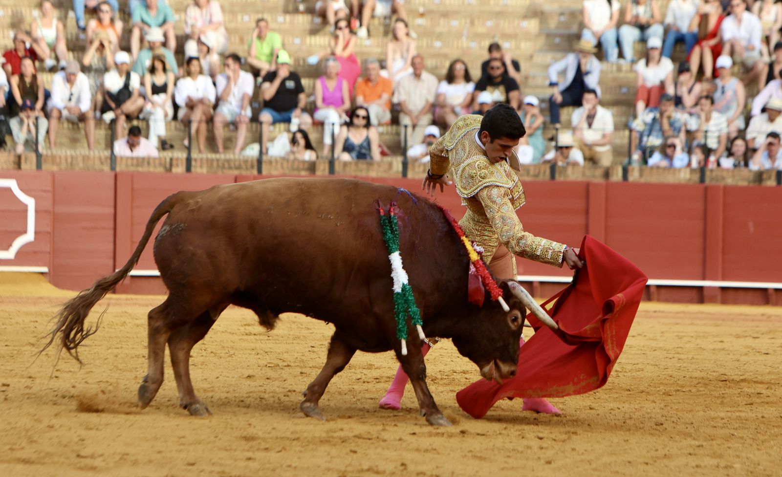 Novillada El Melli, Aarón Palacios y Manuel Jesús  Carrión
