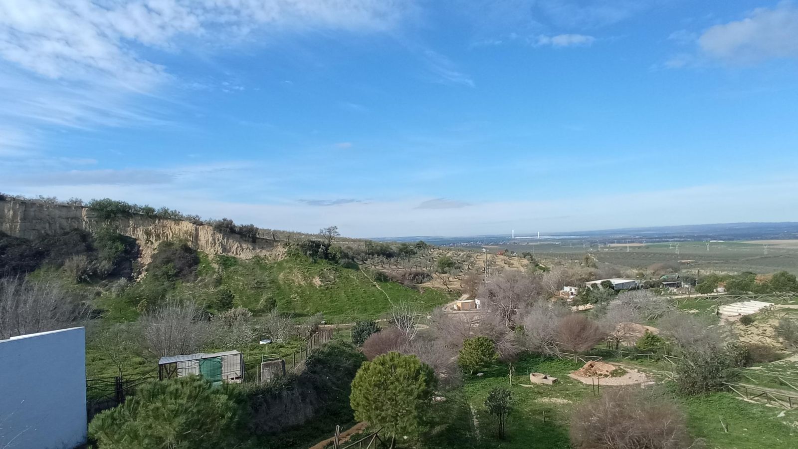 Las imágenes de la ruta de la dehesa de Albaida del Aljarafe