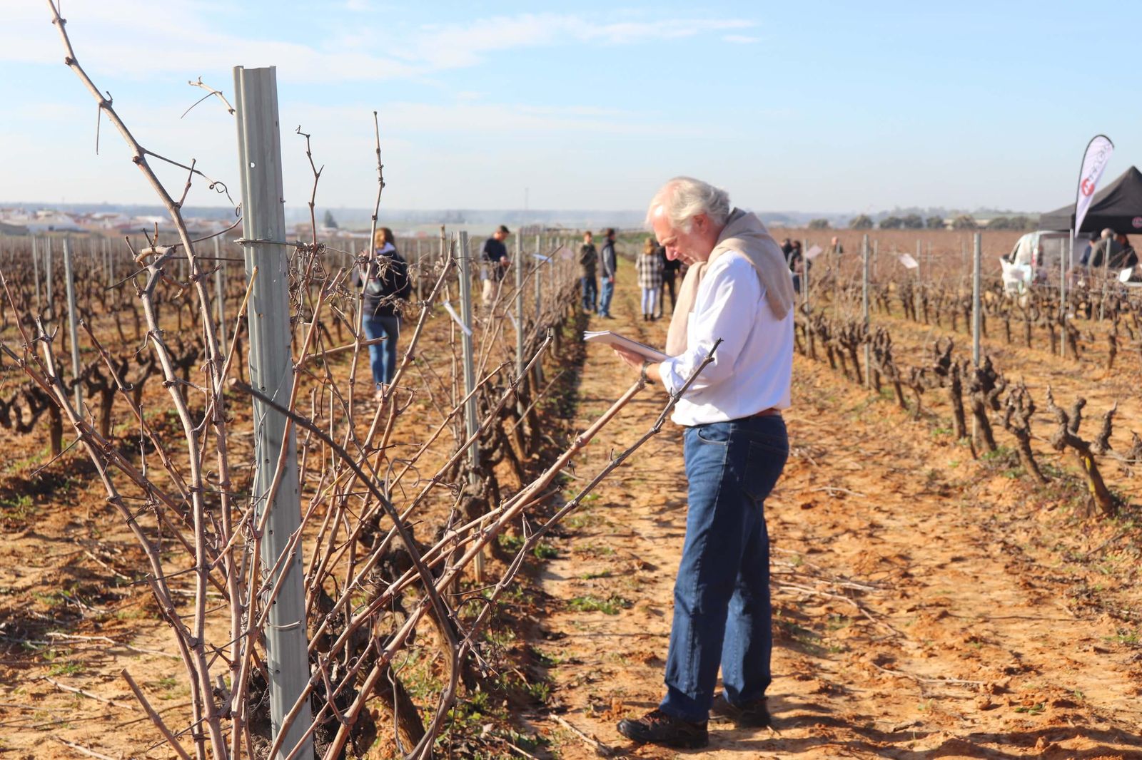 I Concurso de poda de viñedo Condado de Huelva