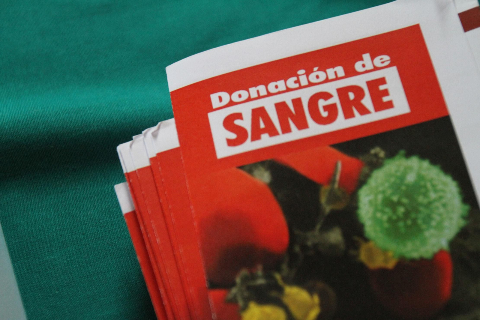 Macrocolecta de sangre en la Casa Colón