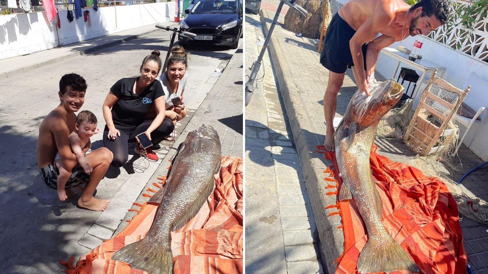 Pescan una corvina de 40 Kg