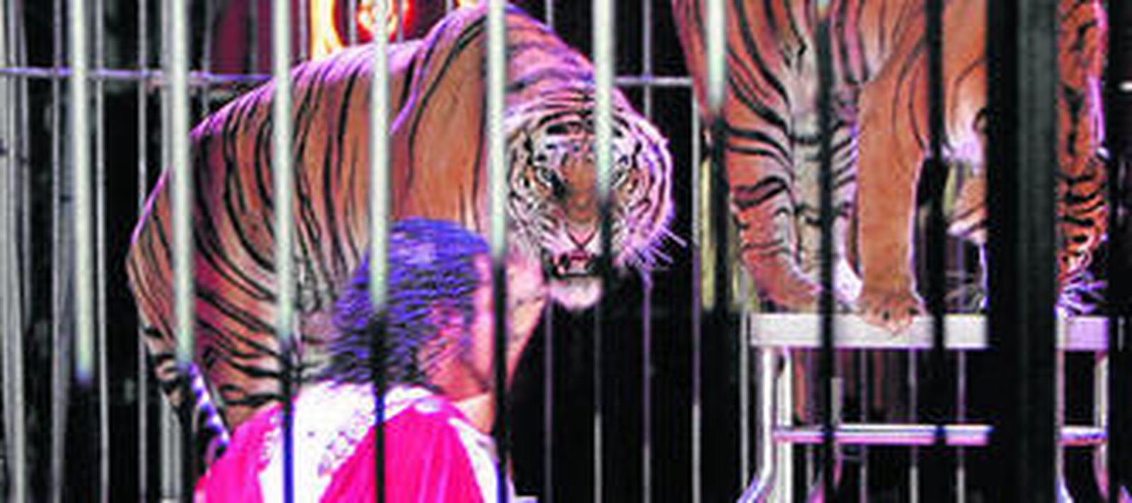 El Gran Circo Alaska estará hasta el día 20 en el recinto ferial.