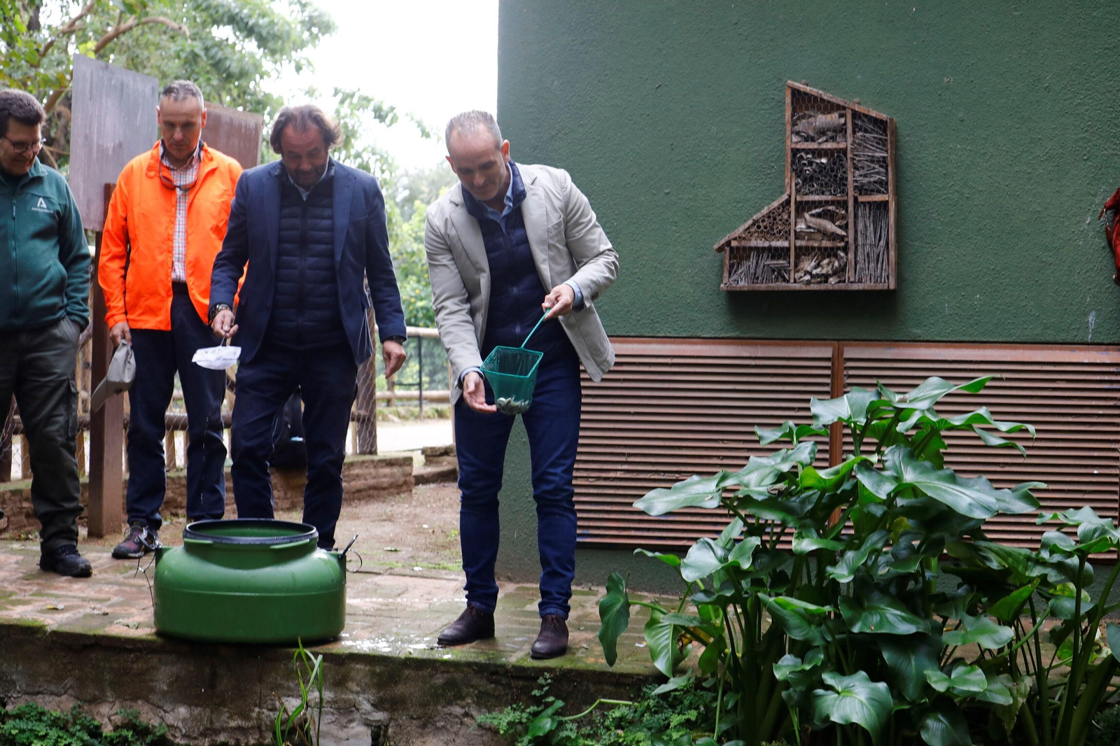 La suelta de salinetes en el zoo de Córdoba, en imágenes La suelta de salinetes en el zoo de Córdoba, en imágenes