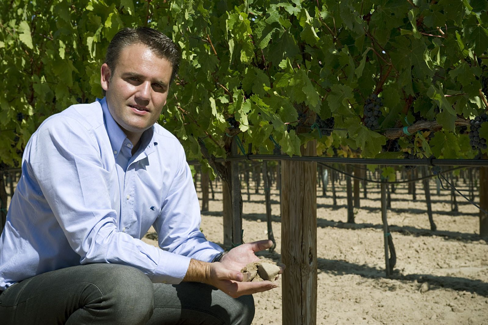 Lalo Antón, director general del Grupo Artevino.