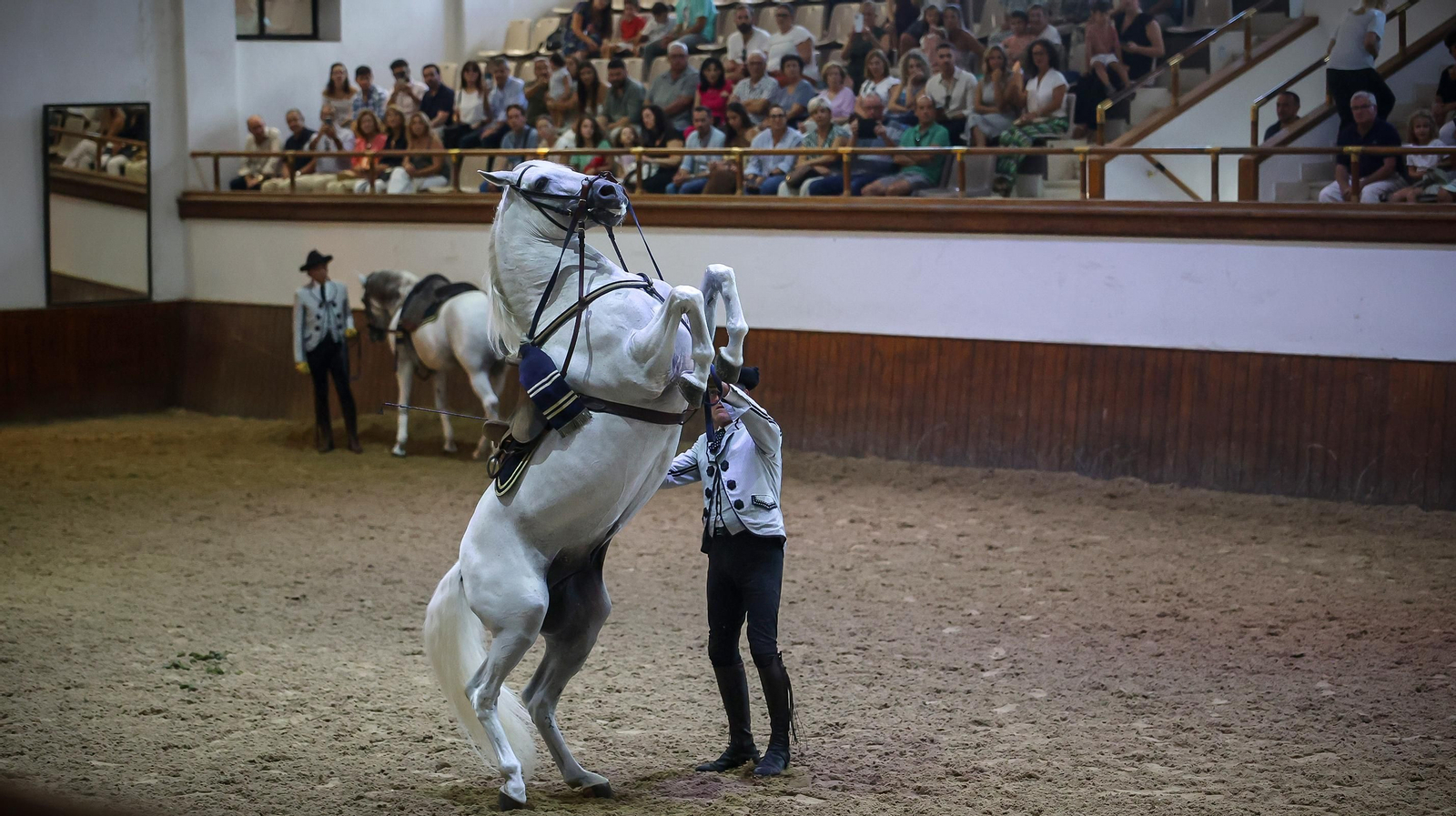 'Día Mundial del Caballo' en la Real Escuela de Jerez