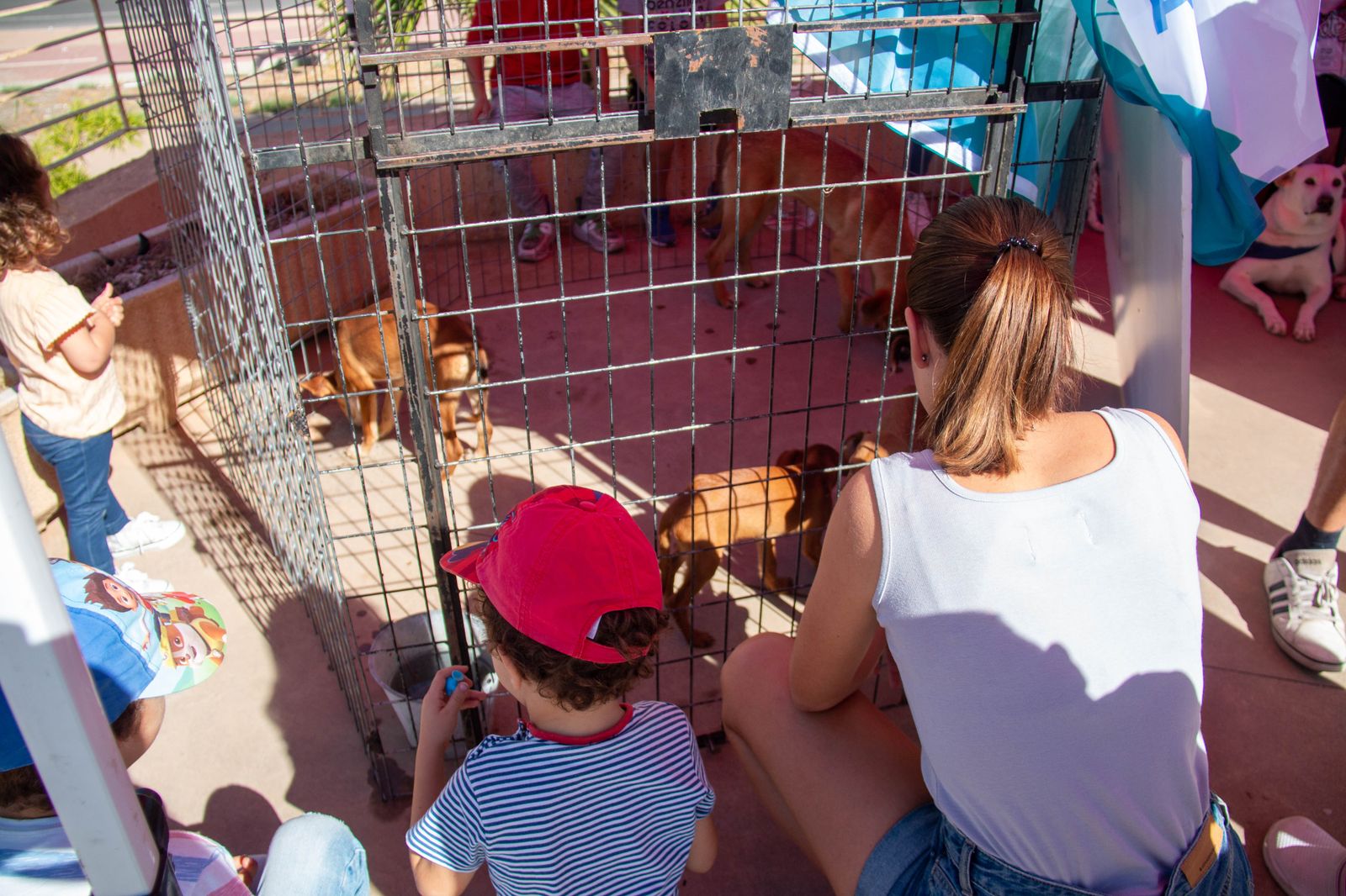 Motril celebra una jornada muy "perruna" para concienciar y sensibilizar en la importancia de adoptar