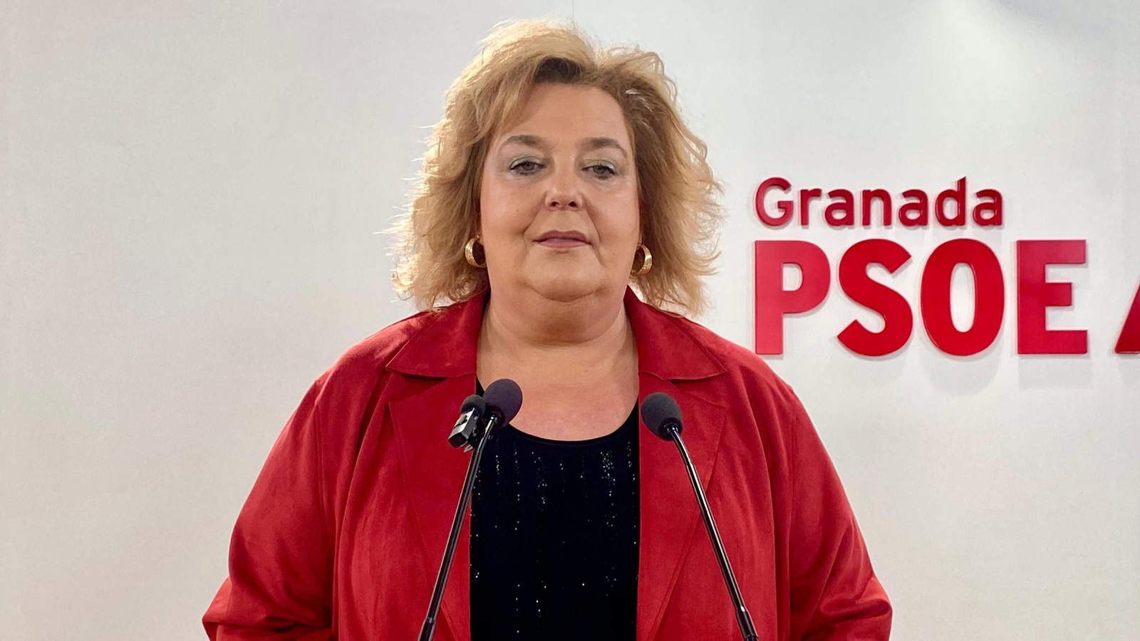 La portavoz del grupo socialista en la Diputación de Granada, Fátima Gómez