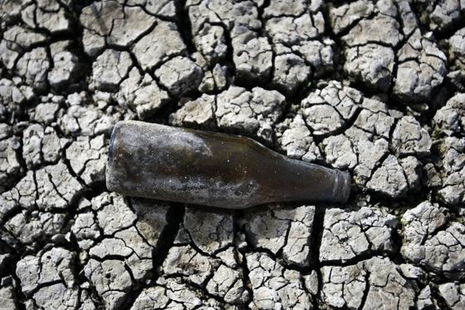 Una botella en la laguna. 

Foto: Fito Carreto