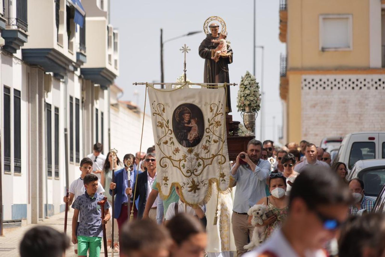 Las mejores imágenes de la procesión de San Antonio en Pozoblanco
