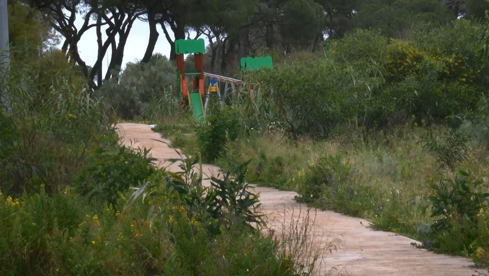 Pinar de Casines en Puerto Real