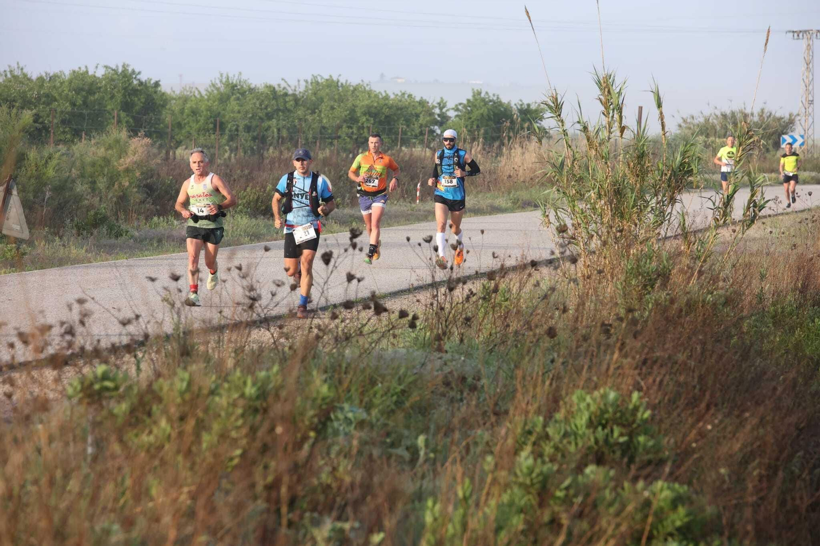 Imágenes de la V Sherry Maratón de Jerez