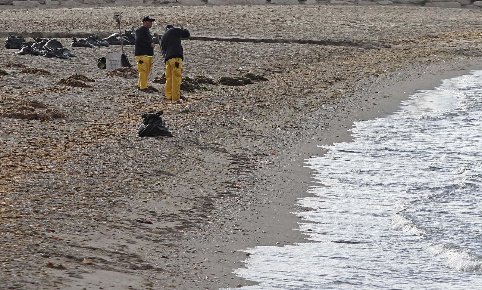 Una limpieza en la playa de Poniente en La Línea.