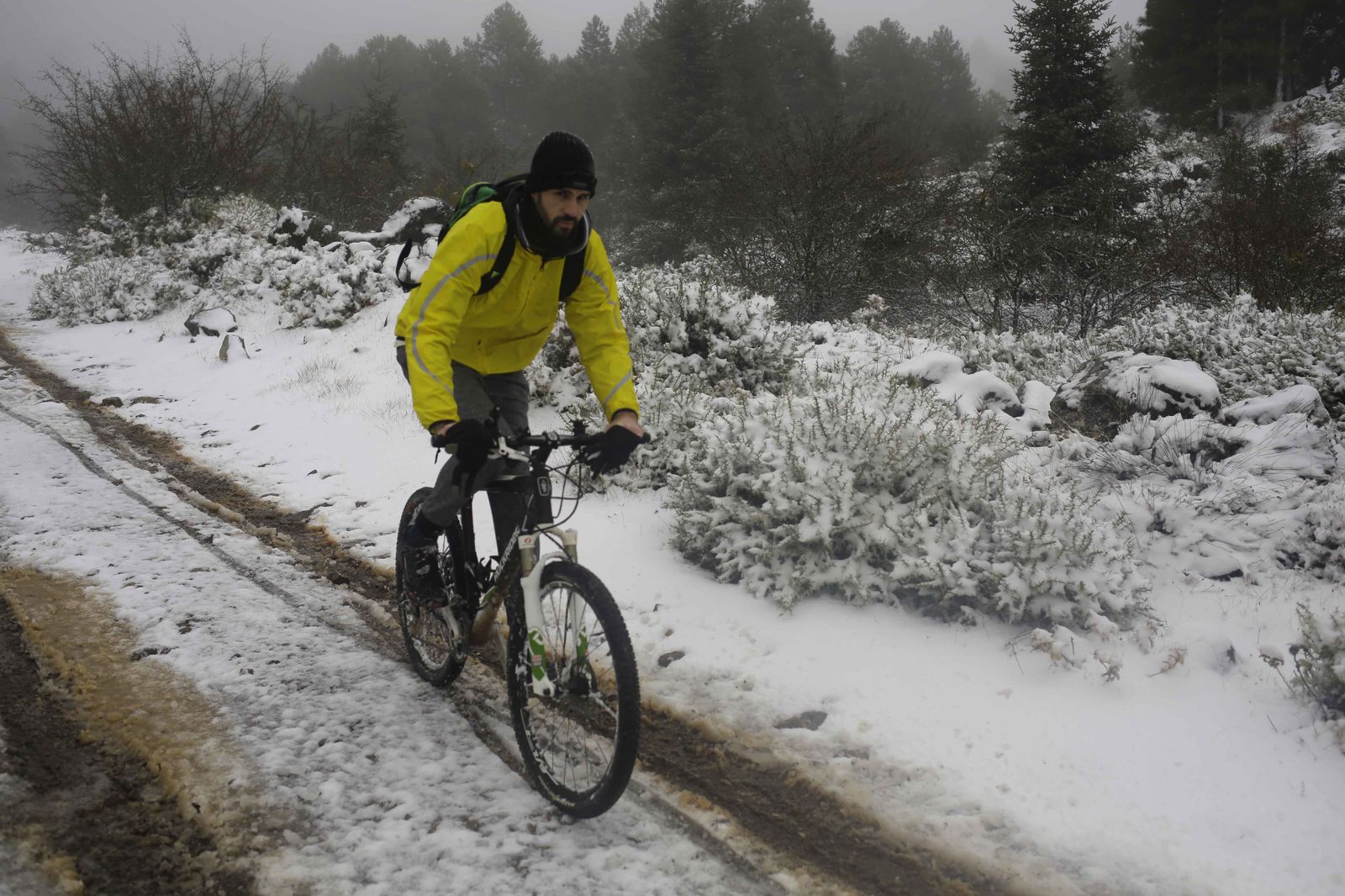 Manto blanco sobre la Sierra de las Nieves