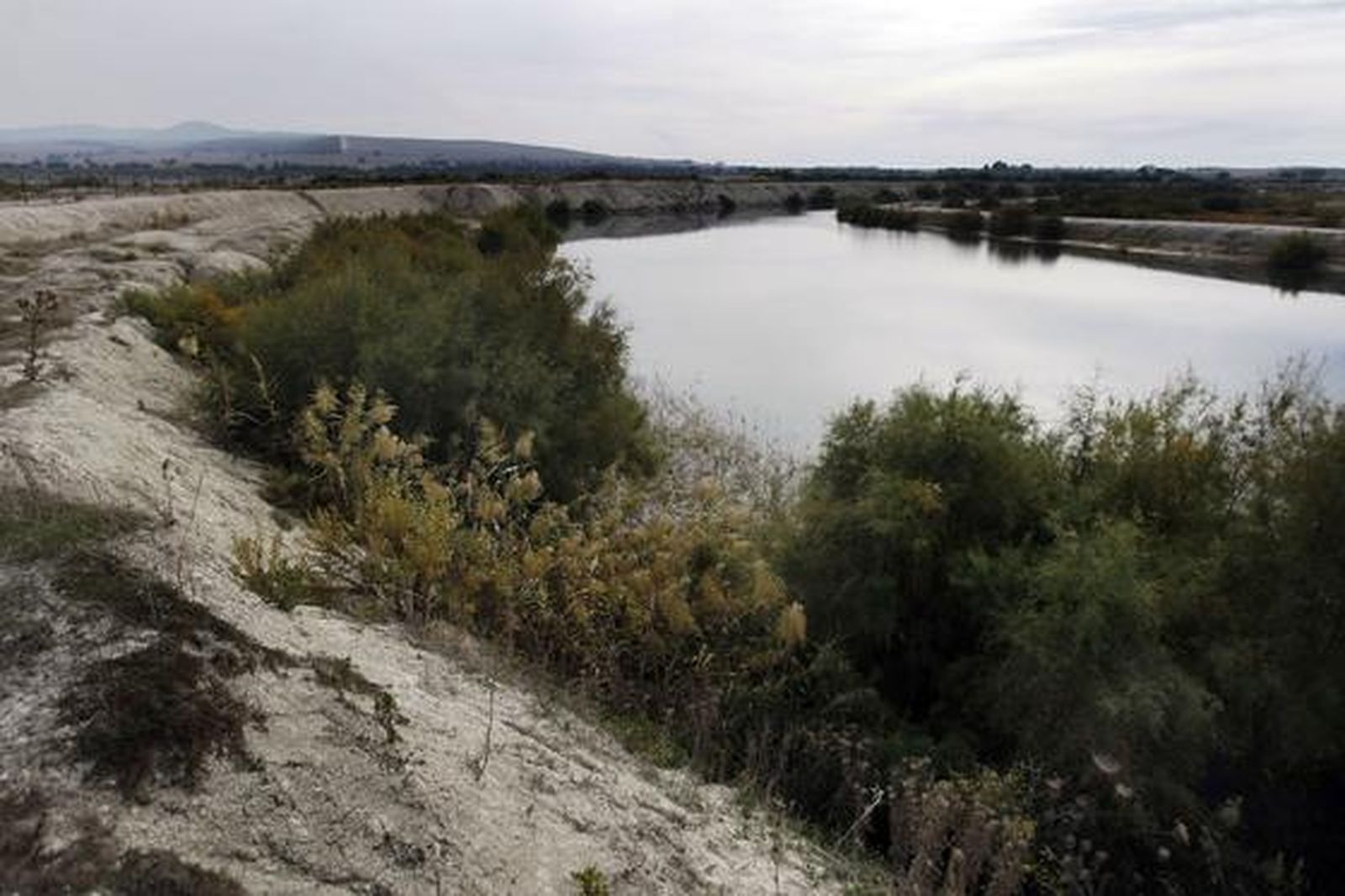 Balsas de agua junto a la laguna.

Foto: Fito Carreto
