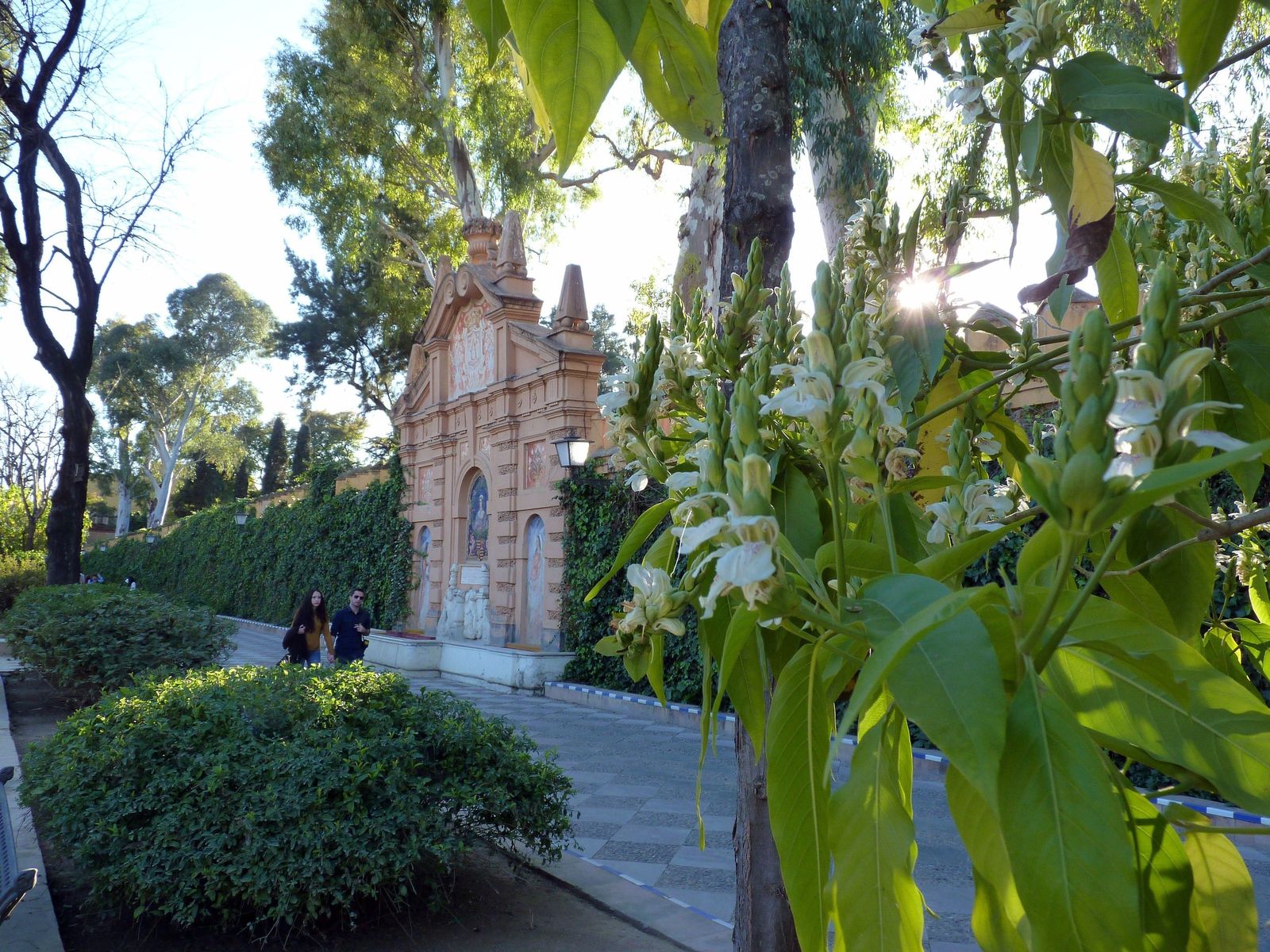 Jardines de Murillo