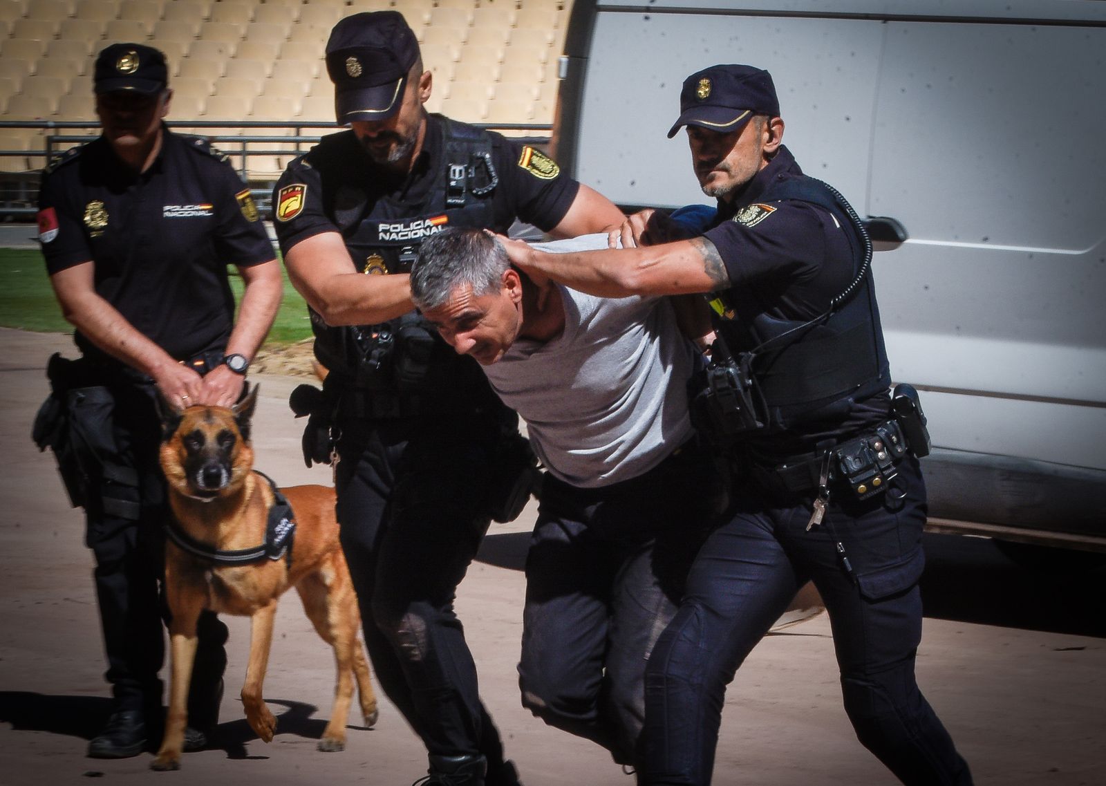 La exhibición policial con participación de la Unidad Aérea, Guías Caninos y Caballería, en imágenes