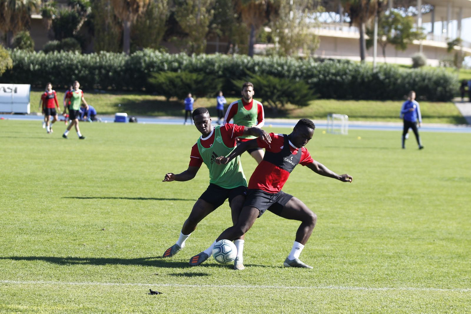 Fotogalería del entrenamiento del Almería 7-XI