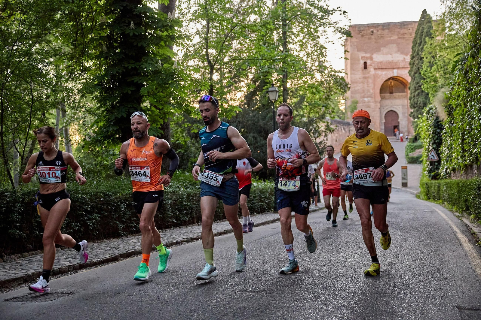 Las mejores imágenes de la Media Maratón Ciudad de Granada 2025