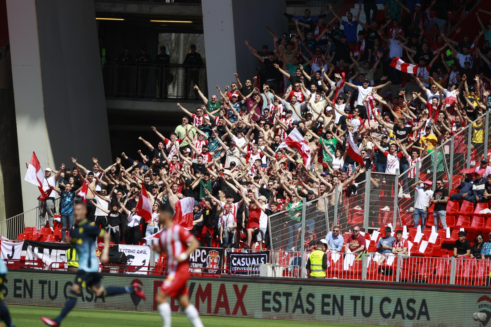 Imágenes del partido de la Liga Santander U.D. Almería-Cádiz C.F.