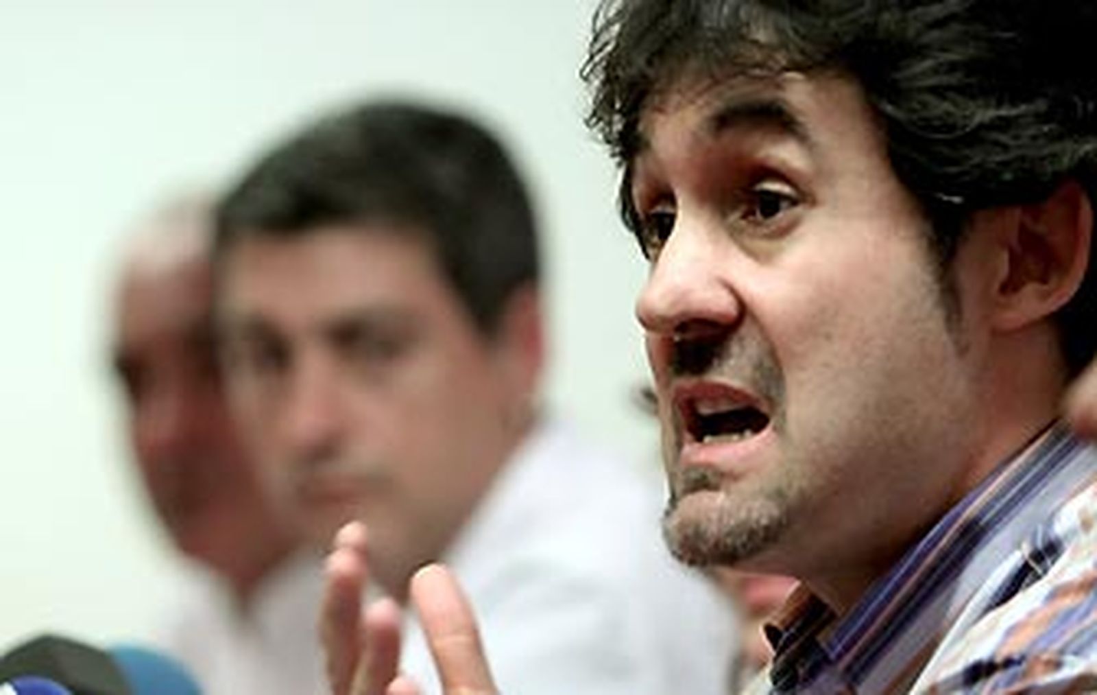 Bildu observa "presiones políticas" tras el fallo del Constitucional