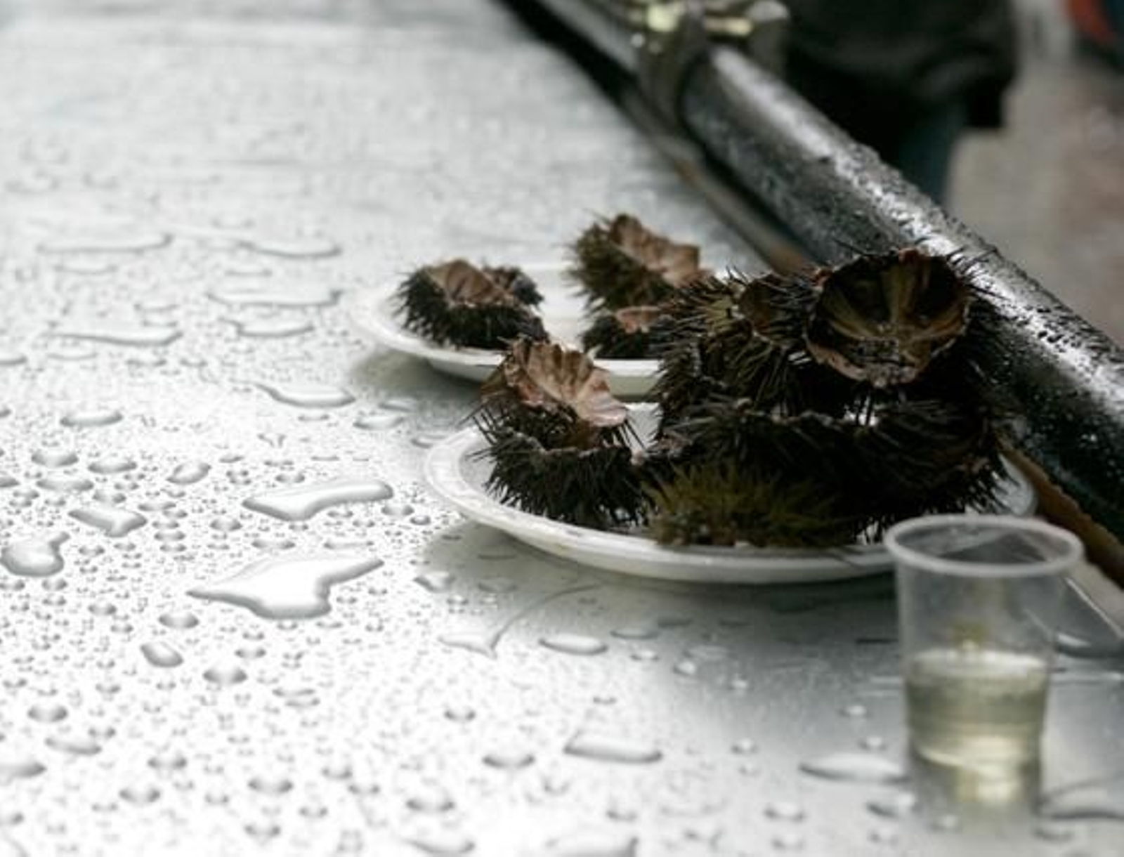 Las precipitaciones provocaron una baja afluencia de personas a la cita precarnavalera y la suspension de las actuaciones previstas. 

Foto: Jesus Marin