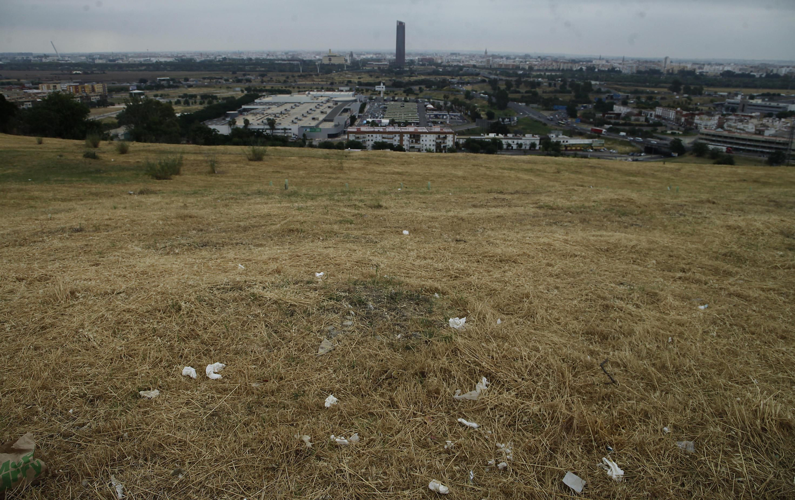 Las llamas destruyen ciento de árboles sembrados en el Carambolo