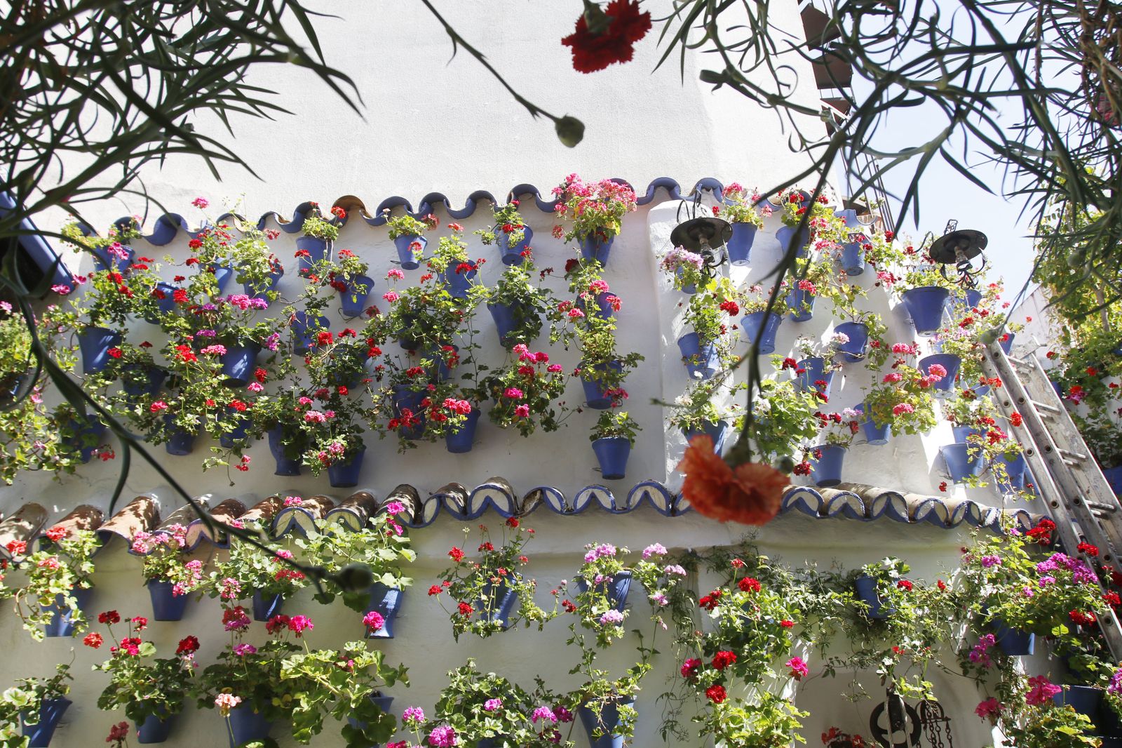 Las fotos de los Patios de Córdoba en tiempos de crisis: Postrera, 28