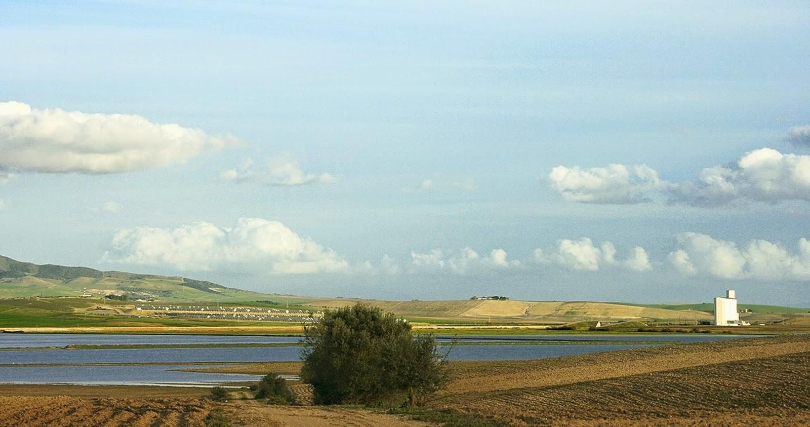 Marismas de Casablanca.
