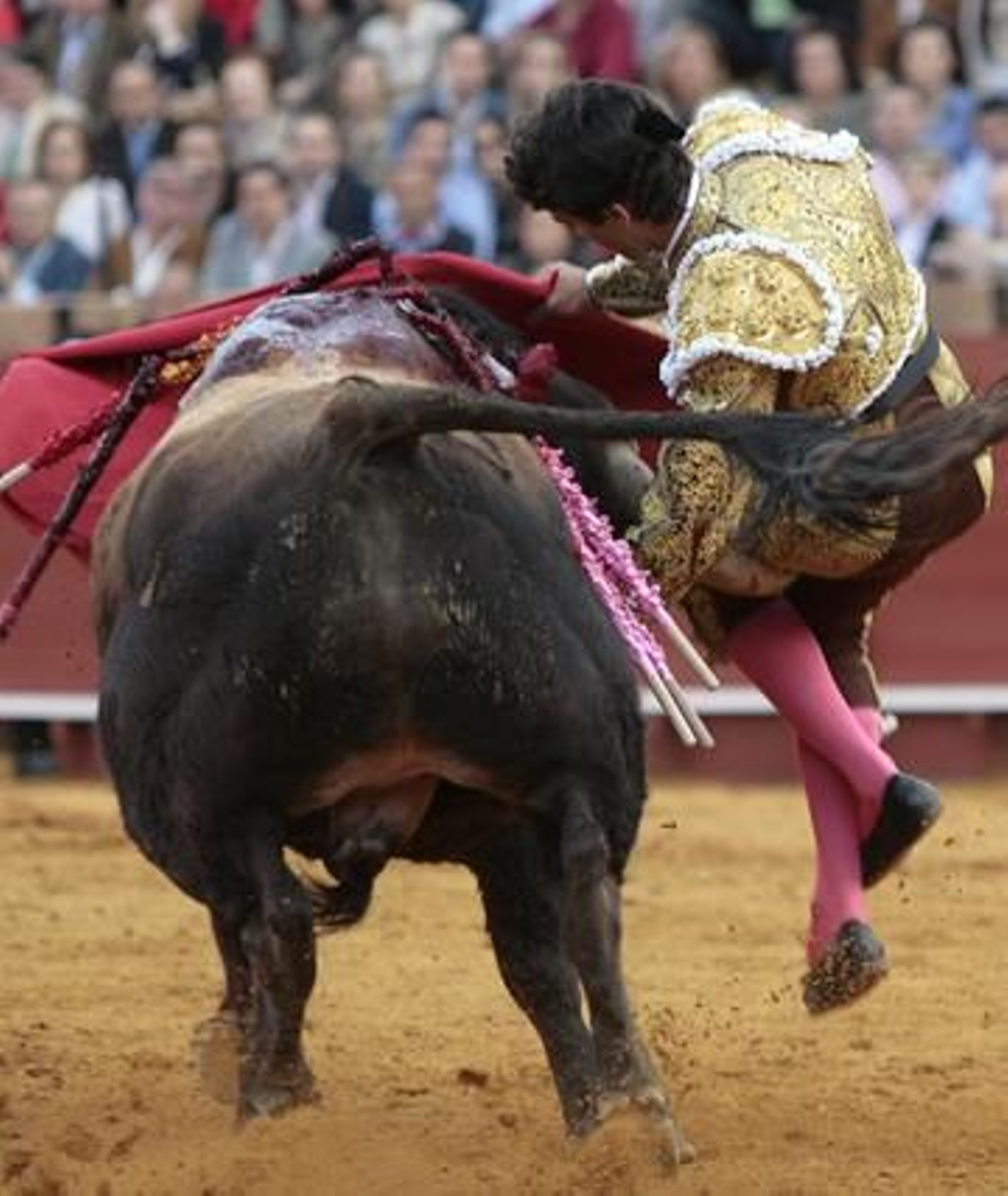 Instante en el que el quinto toro hiere en el muslo derecho a Miguel Ángel Delgado.

Foto: Juan Carlos Muñoz