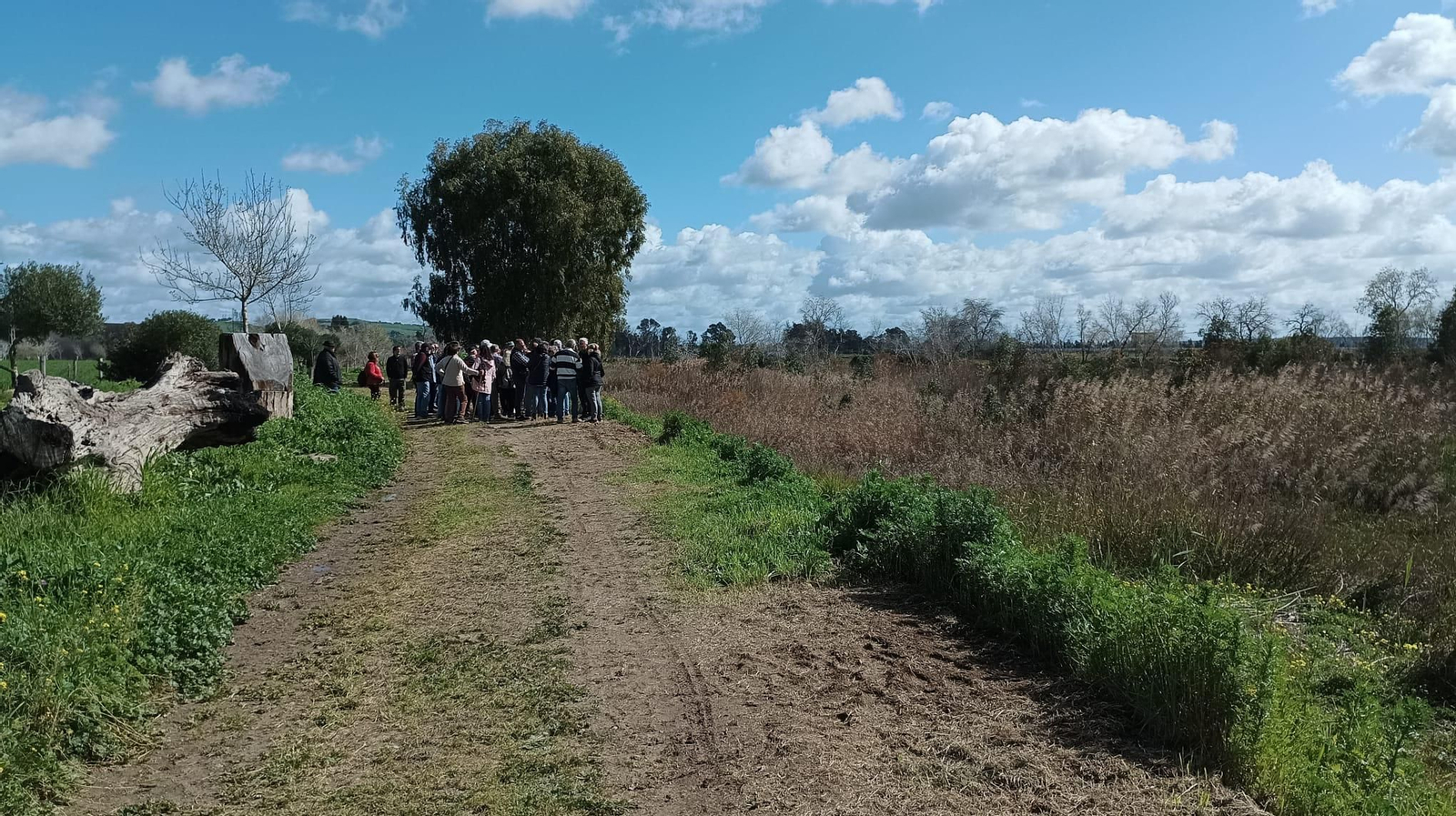 Multitudinaria visita guiada al puente de Cartuja en Jerez