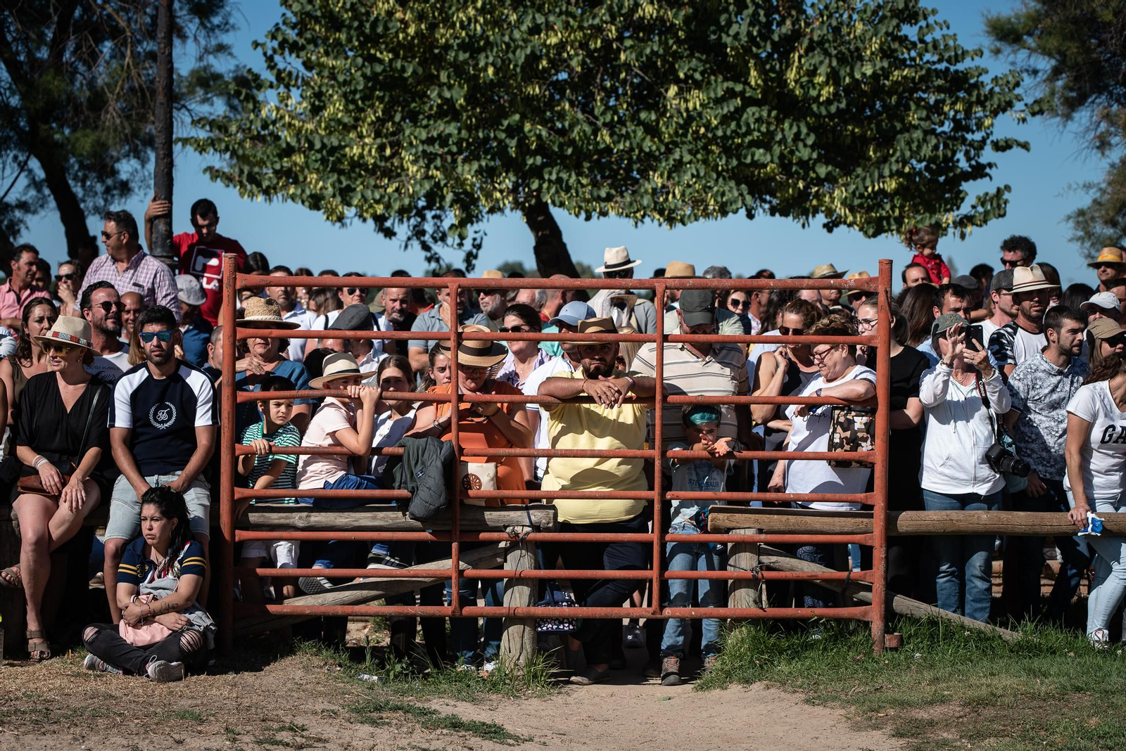 Imágenes de la Saca de las Yeguas a su paso por El Rocío