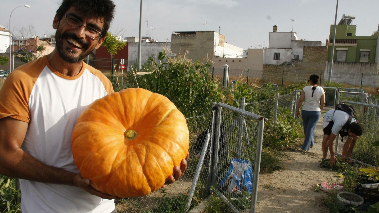 Alguno de los productos que pueden obtenerse mediante el trabajo en los huertos sociales y ecológicos.