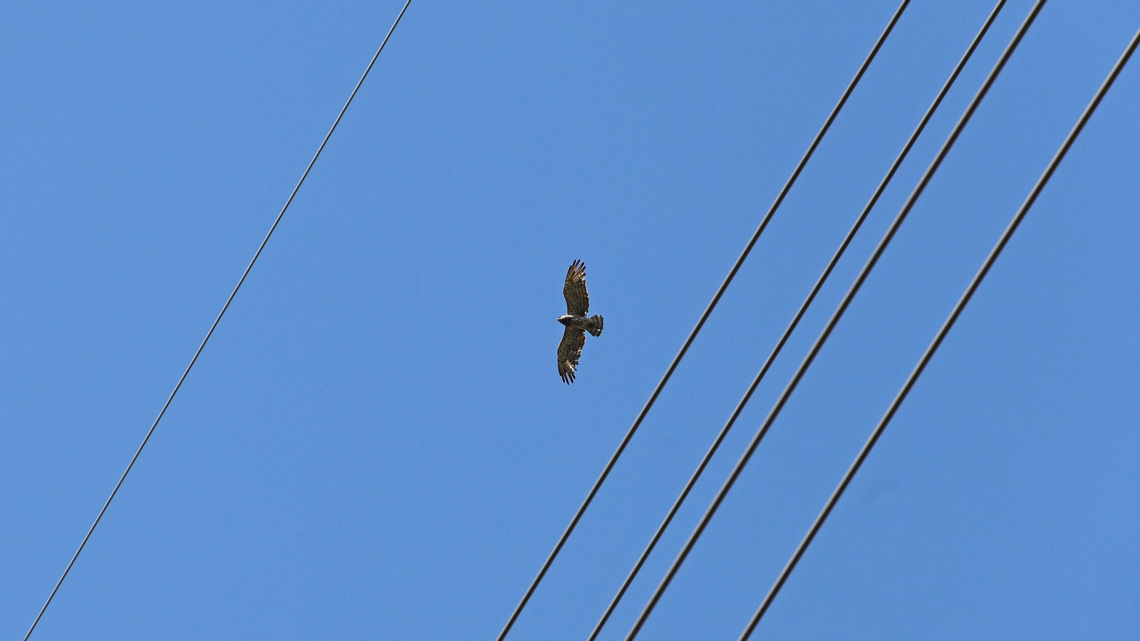 Las mejores fotos de la Senda de los Prisioneros en Algeciras