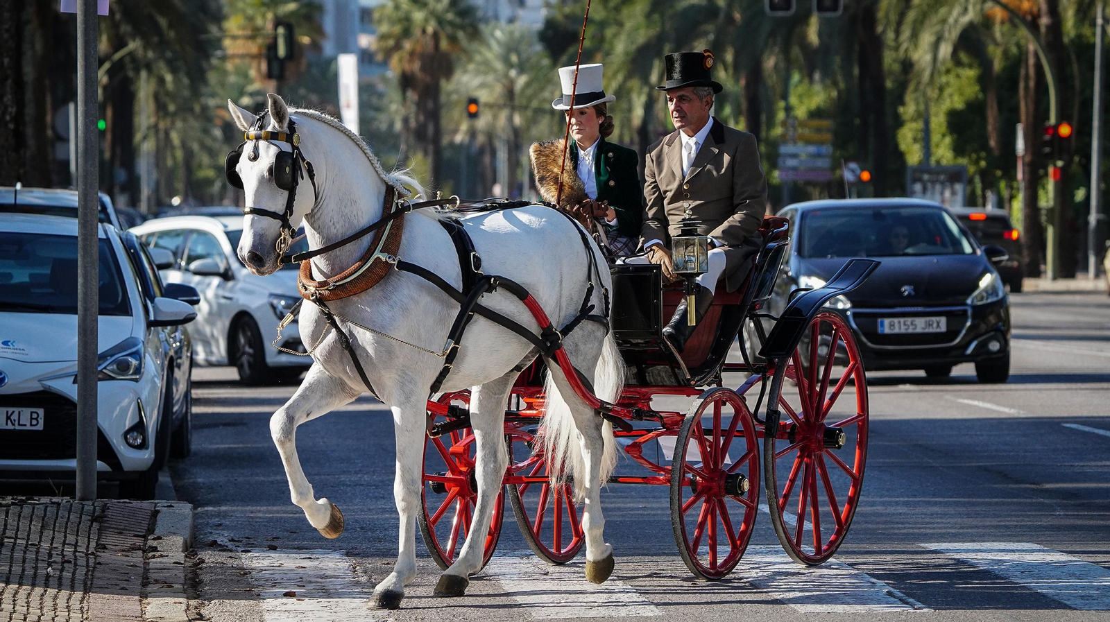 Tradición y elegancia en el Concurso Internacional de Enganches
