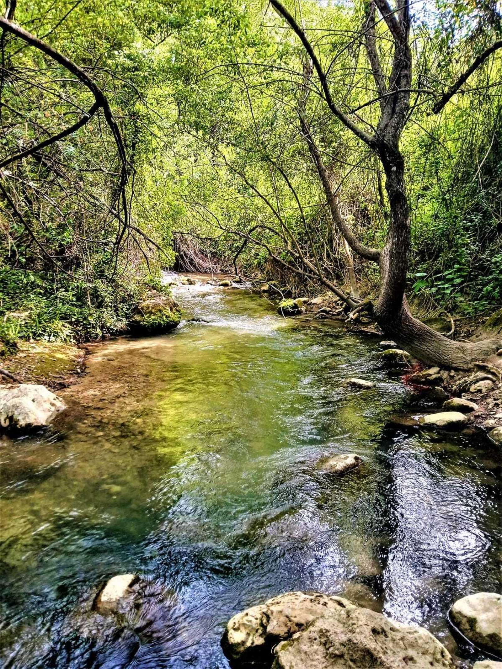 Juanma Moreno en el sendero del río Majaceite