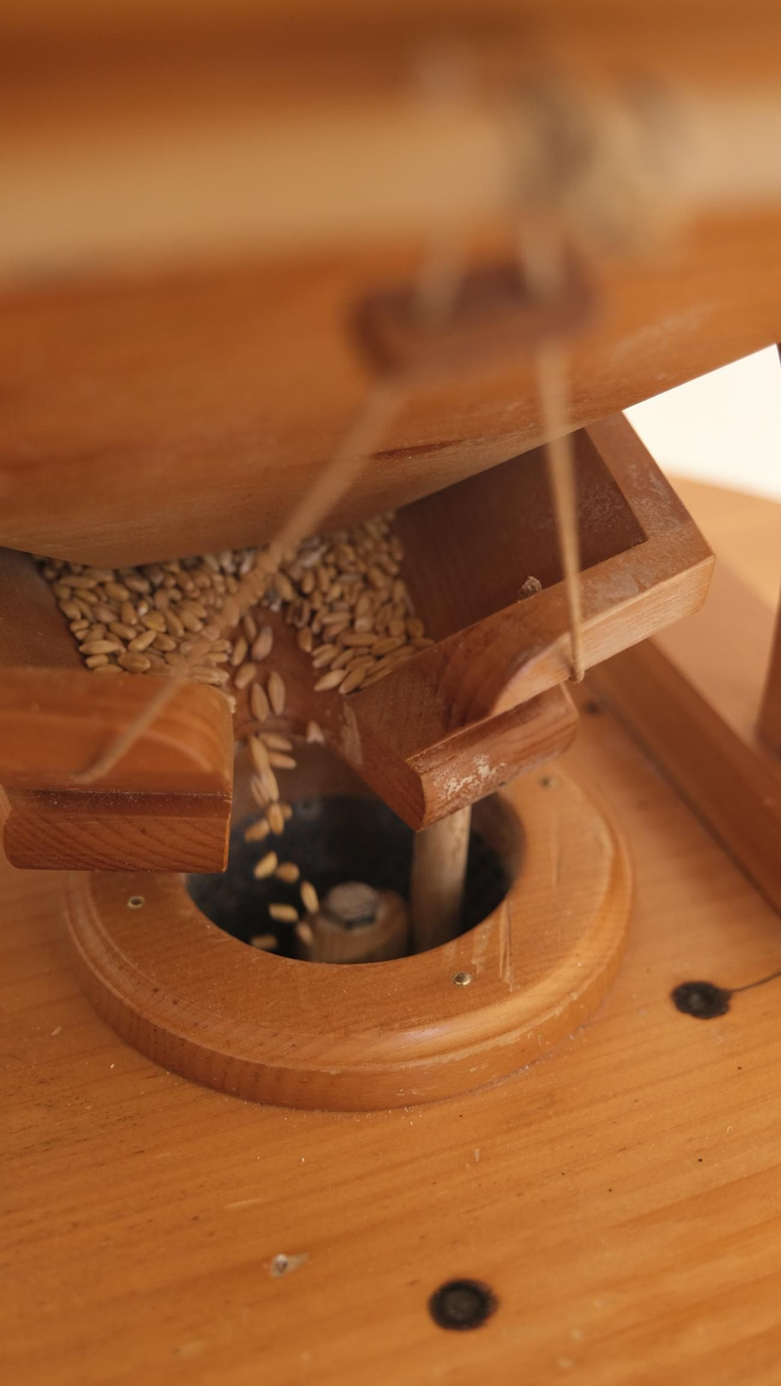 Agroferia de Vélez Rubio, en imágenes