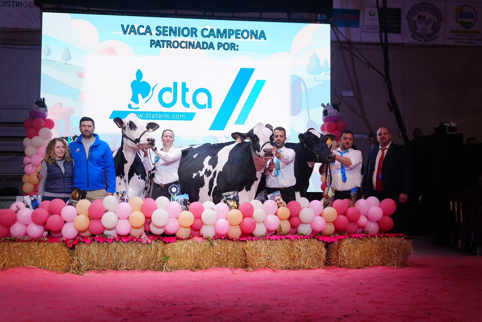 Las imágenes de la última jornada de la XVII Feria del Ganado Frisón de Dos Torres