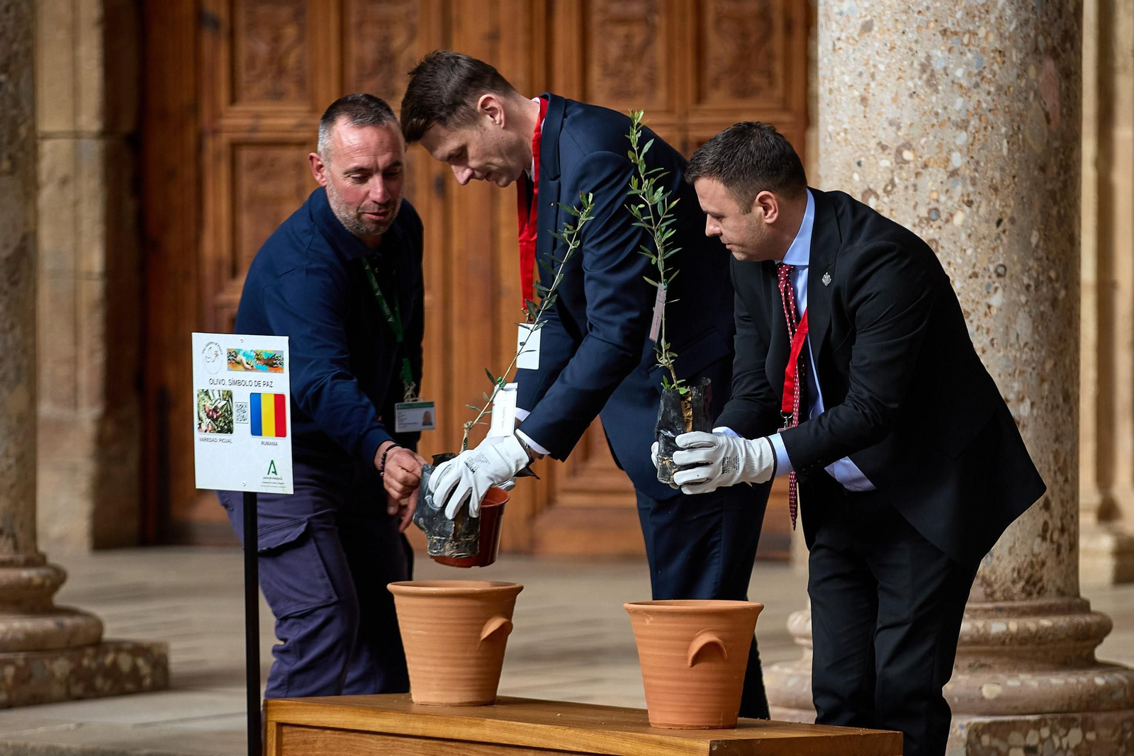 Todas las imágenes de la plantación del jardín de la paz en la Alhambra de Granada